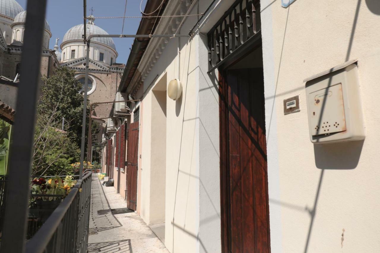 Om Plus Santa Giustina Padova Dış mekan fotoğraf